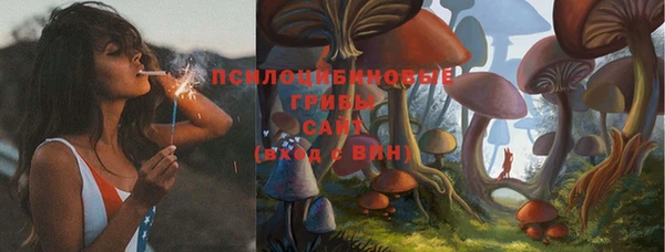 дурь Россошь