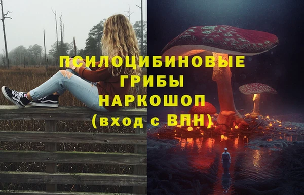 COCAINE Ладушкин