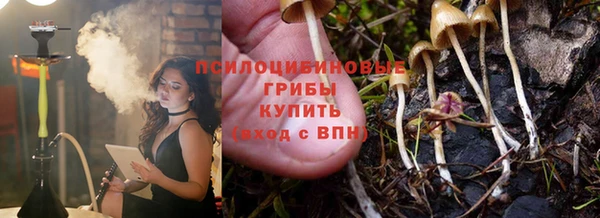 ALPHA PVP Бородино