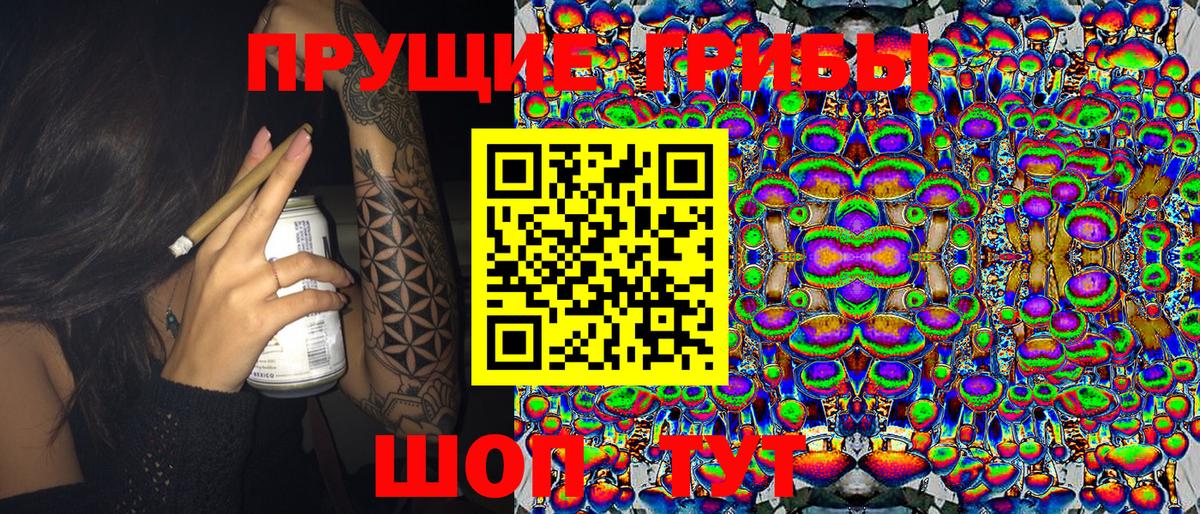 Псилоцибиновые грибы Cubensis Ноябрьск